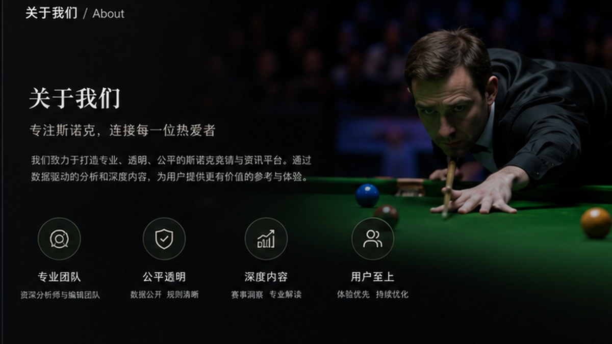 关于我们